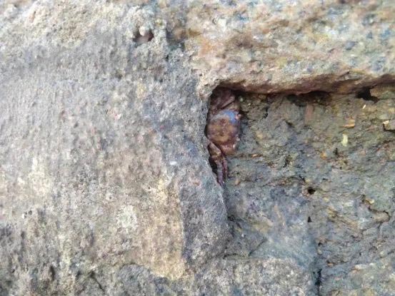 4688����÷��¼����(�й�)���޹�˾����