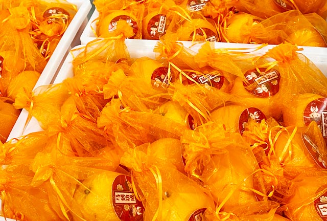 4688����÷��¼����(�й�)���޹�˾����