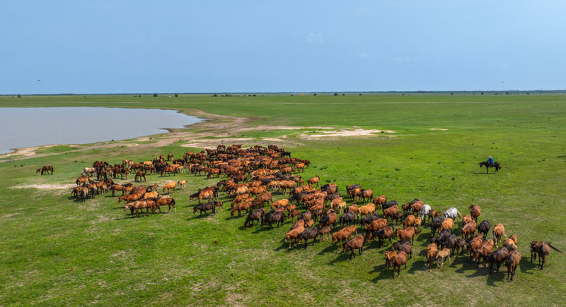 4688����÷��¼����(�й�)���޹�˾����